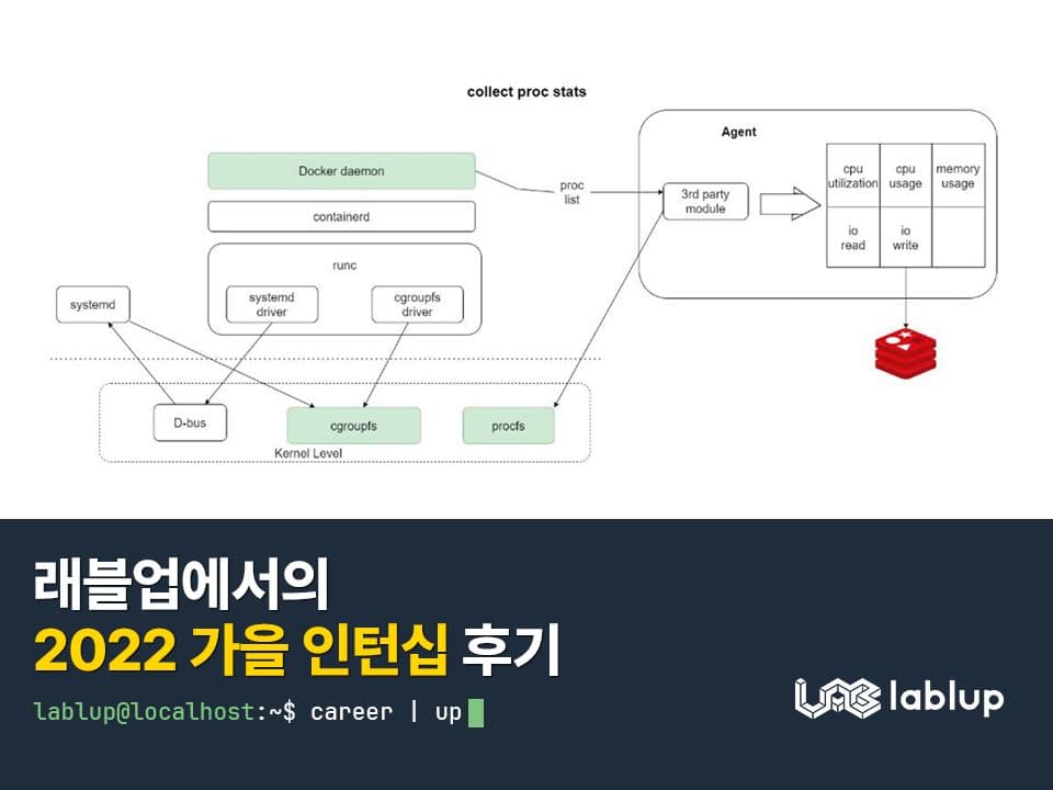 래블업에서의 2022 가을 인턴십 후기