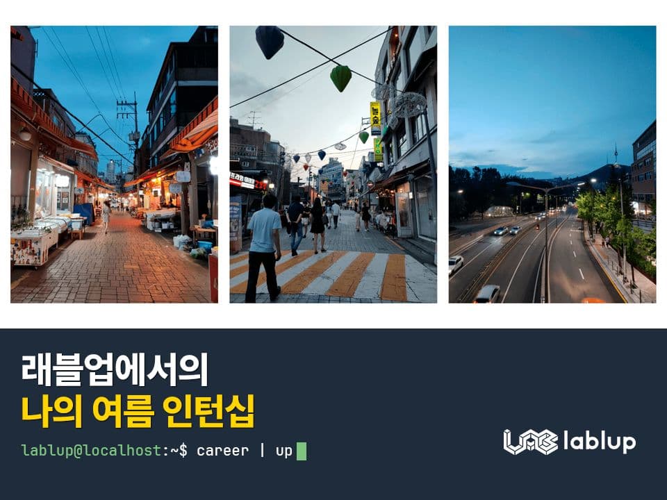 래블업에서의 나의 여름 인턴십